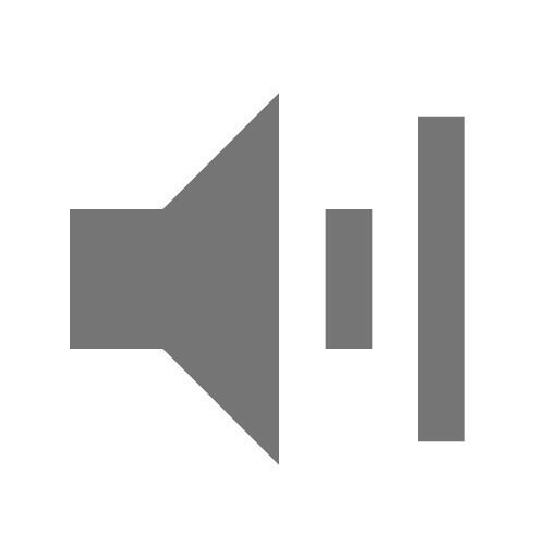 Volume Icon